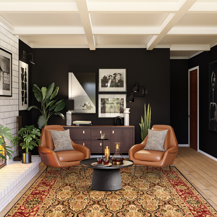 Indo Persian 6x9 Red/Black Wool