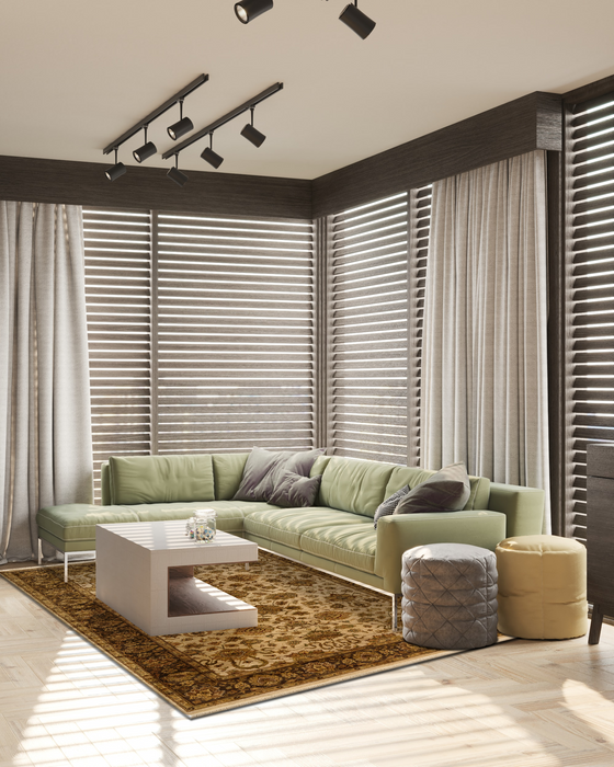 Premiere 6x9 Ivory/Brown Wool