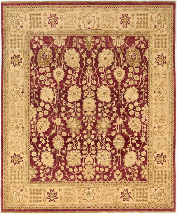 Chobi 8x10 Maroon/Ivory Border Ghazni Wool