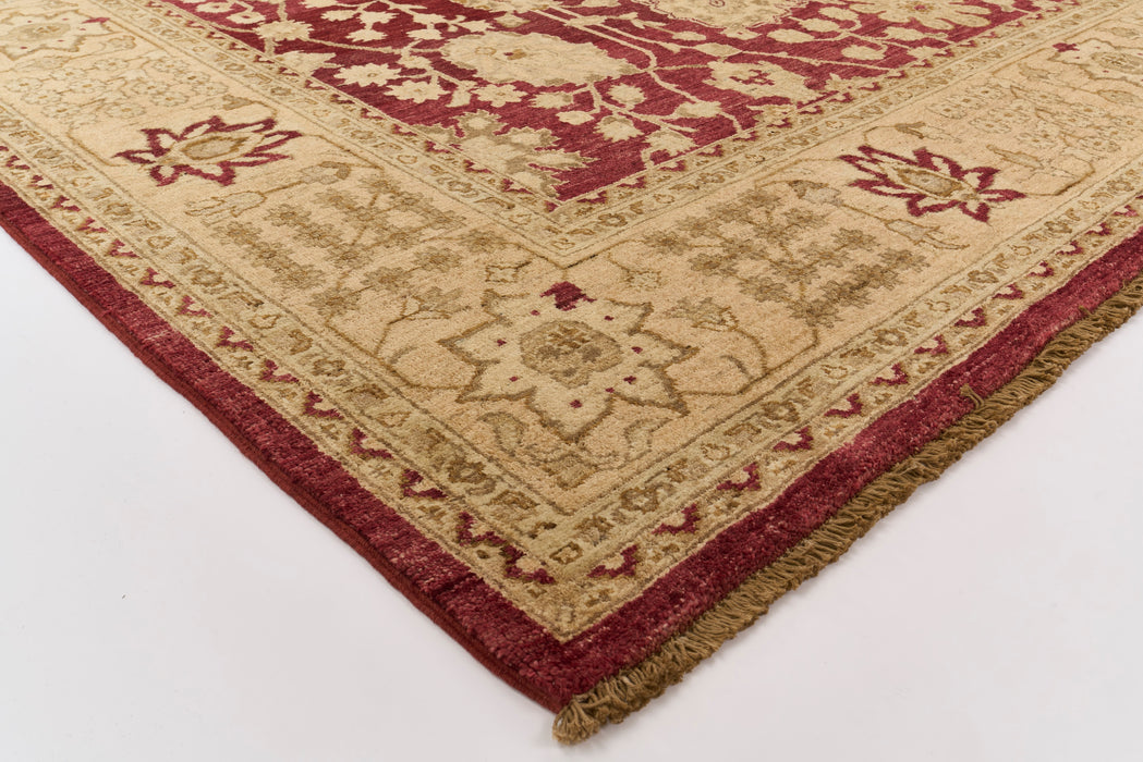 Chobi 8x10 Maroon/Ivory Border Ghazni Wool