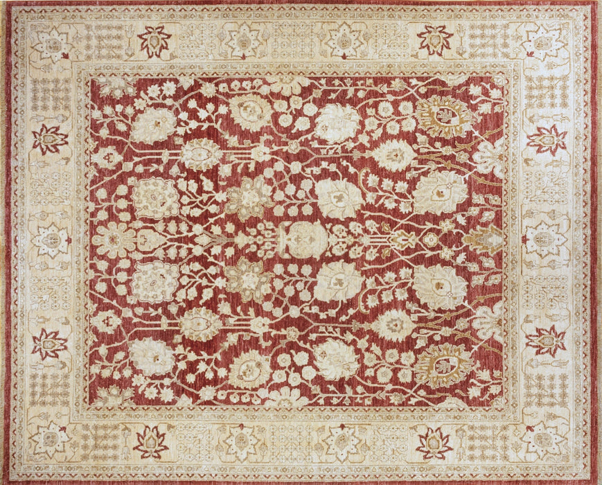 Chobi 8x10 Maroon/Ivory Border Ghazni Wool